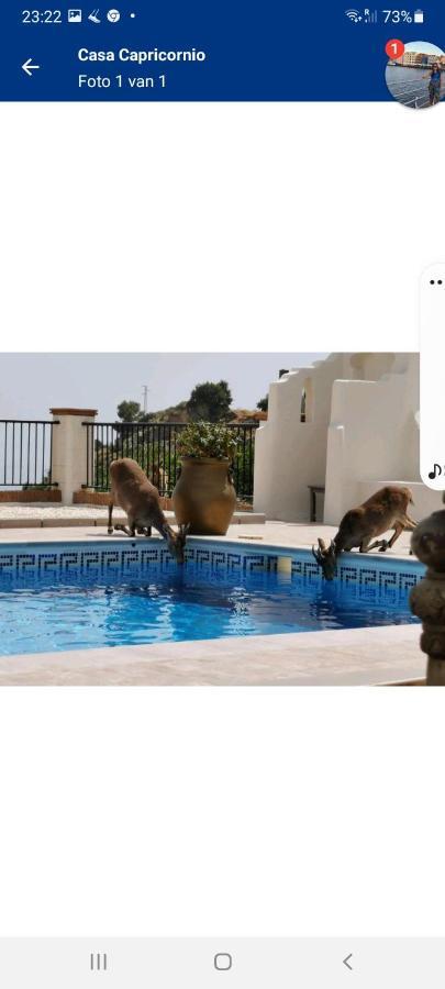 マルベーリャ Casa Capricornio Bed & Breakfast エクステリア 写真
